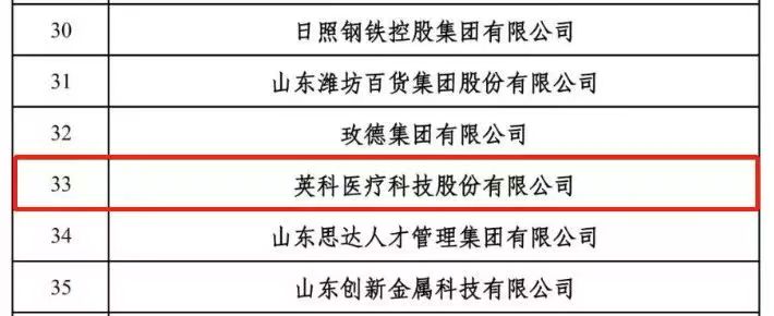 Top 100 private enterprises in Shandong for employment in 2024 (partial)