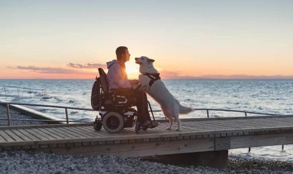 Power Wheelchairs vs. Manual Wheelchairs: Which Is Right for Your Needs?